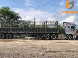 Vận Chuyển Hàng Sài Gòn Đi Đà Nẵng